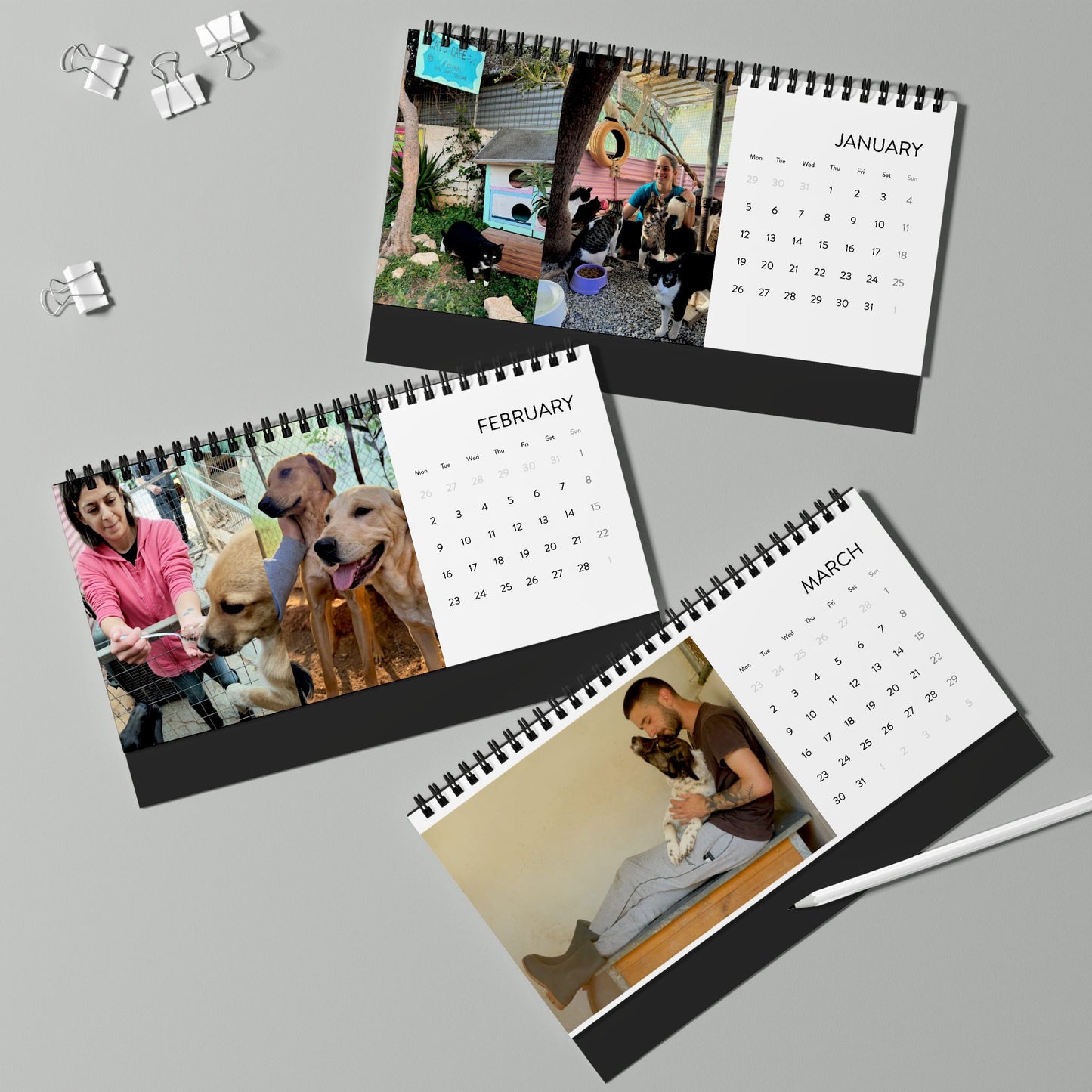 Life in Motion: Shelter Life Calendar