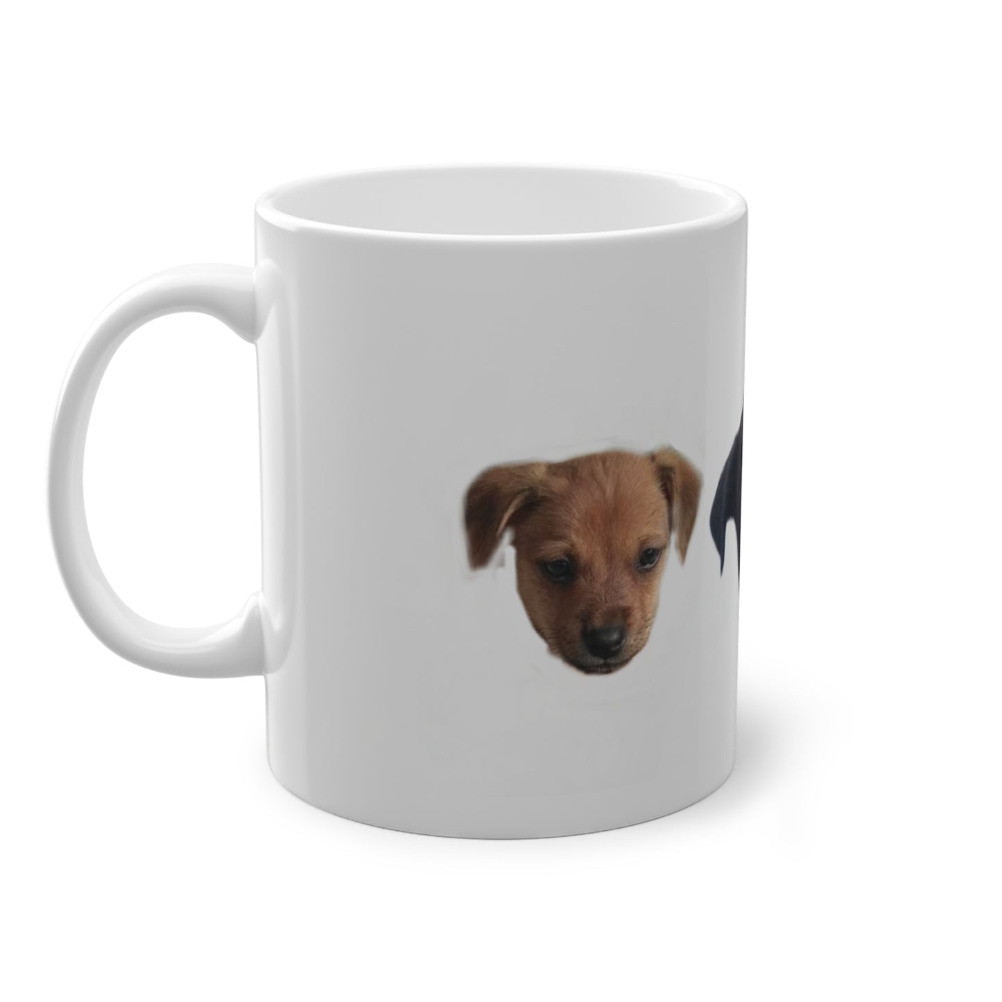 Sip & Support: Shelter Coffee Mugs