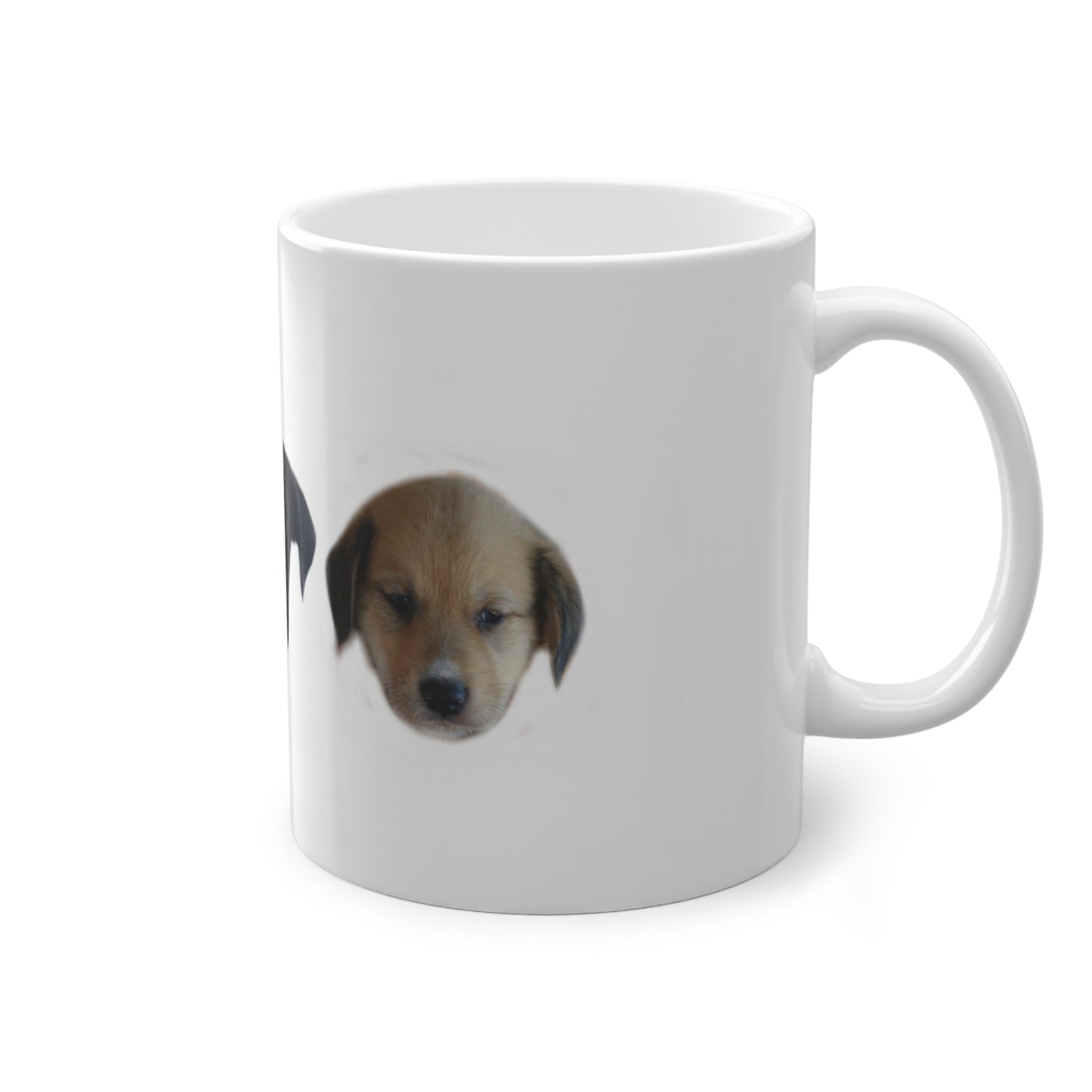 Sip & Support: Shelter Coffee Mugs