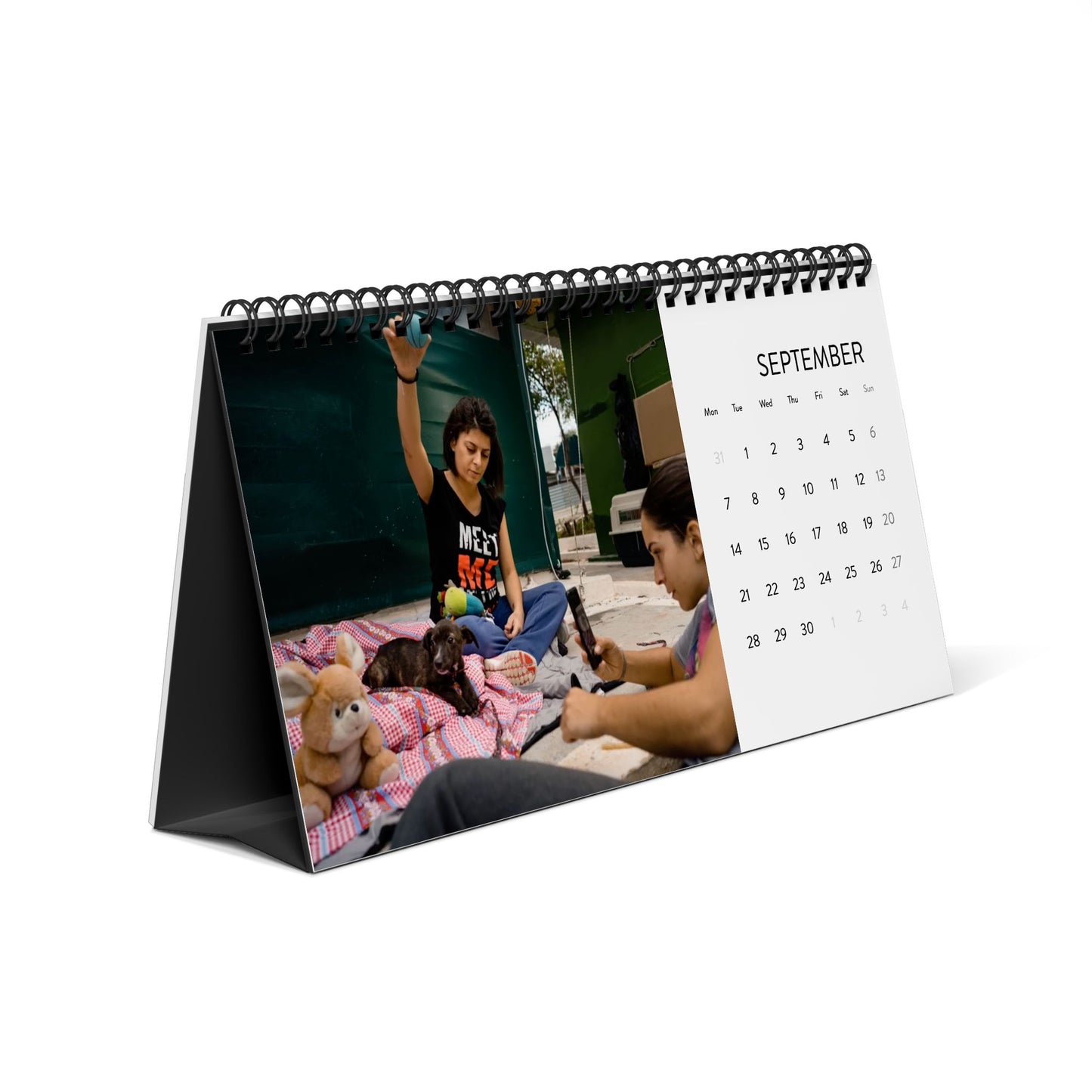 Life in Motion: Shelter Life Calendar